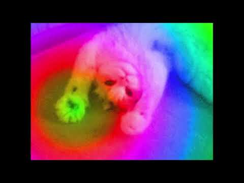 Tech House - Alucinocrazy remix