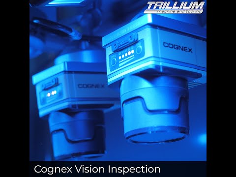 Vision Inspection System