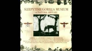 Sleepytime Gorilla Museum - of Natural History (2004)