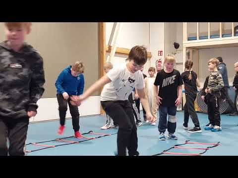 Hokkarisalin esittely