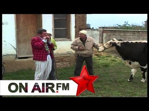 Cima, Dreni, Kungji - Inekcija e lopes