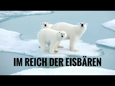 Im Reich der Eisbären «Spitzbergen»