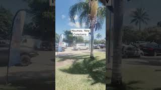 Is 10am and everything still asleep #noumea#newcaledonia#carnivalsplendor