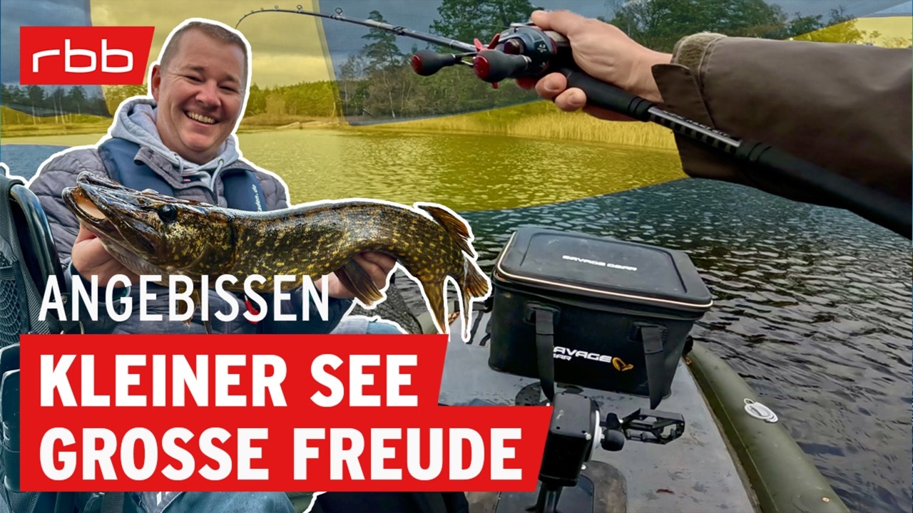 Hechtangeln vom Kajak in Schweden und gebratene Barsche | Angebissen #209 | Angelpodcast