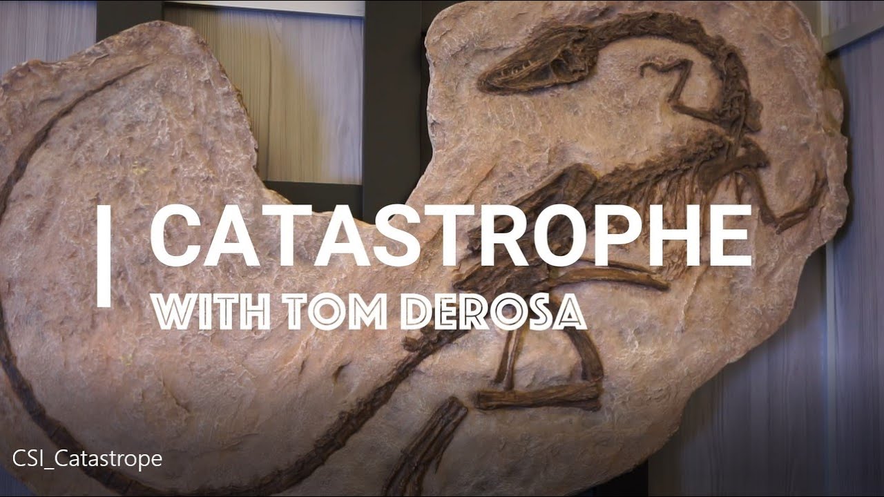 Earth's Worldwide Catastrophe