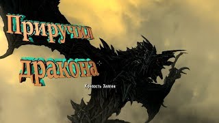 САМОЕ НЕОБЫЧНОЕ ПРОХОЖДЕНИЕ SKYRIM #1 Как приручить дракона