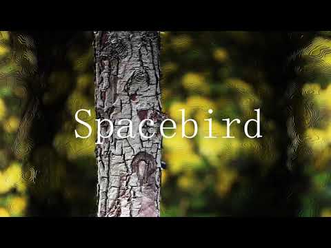 Fichon - Spacebird (Official Video)