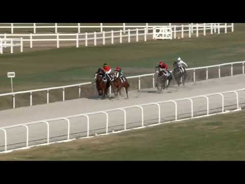 2022.04.03. 07. futam - SÜTVÉNYI DÍJ (I.kat.) (szintetikus pálya)