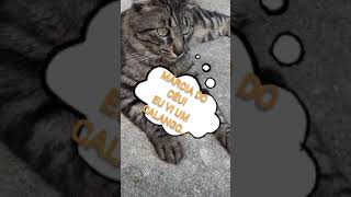 Mrcia do Cu! O que  isso? Um calango? #shorts