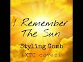 I Remember The Sun - Styling Comb (XTC cover) - toddbulky I Remember The Sun - Styling Comb (XTC cover)