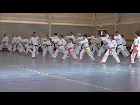 Kagawa 2016 in JKS BENELUX