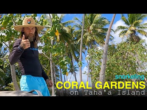 Visiting The Amazing Coral Gardens on the Island of Taha'a in French Polynesia