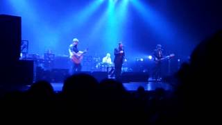 Laugh about it - Racoon