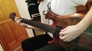 Virus - Lost Peacocks guitar cover