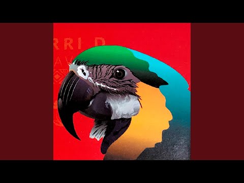 Me Declararon la Guerra