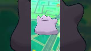 The Latest Ditto Disguise Update In Pokemon Go 2023( How To Catch ditto in Pokemon Go )