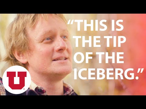 Why Are Our Forests Dying? | Unseen Effects of Climate Change