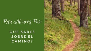 SÍMBOLOS 🌟 del CAMINO de SANTIAGO 🇪🇸 ESPAÑA