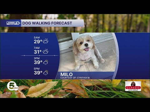 Meet Milo! - YouTube