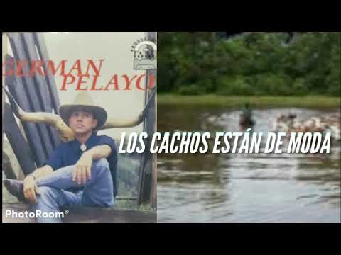 Los cachos están de moda // Germán Pelayo