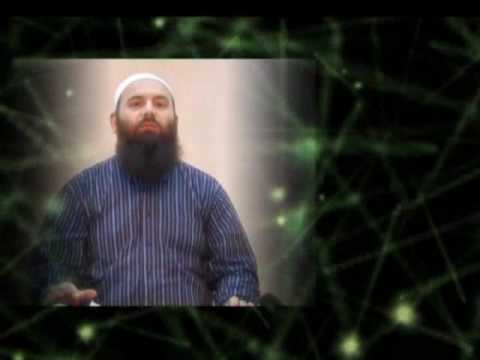 Hoxhë Bekir Halimi - Roli i njeriut në jetë