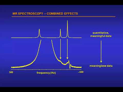 ISMRM MR Academy - How To Get Meaningful MRS Data