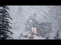 BRUTAL WINTER 2025 IS COMING WILL YOU SURVIVE THE BRUTAL COLD WHITE NOISE For SLEEP