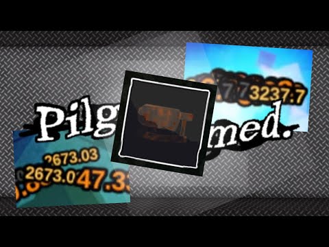 6000+ DPS and the power of teamwork (Pilgrammed)