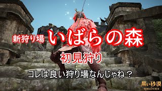 【黒い砂漠】オーディリタにある『いばらの森』で初見狩り-ドロップ収支など【新狩り場】