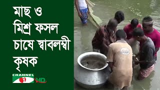 কুড়িগ্রামে মাছচাষে সফলতার গল্প