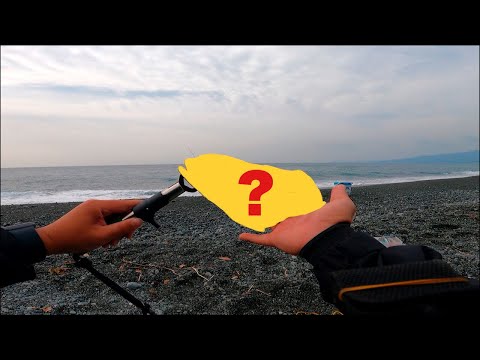サーフでショアジギングついでに【ちょい投げ】したらまさかの高級魚！？