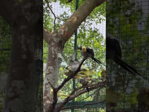 നല്ല മഴ… ആഹാ അടിപൊളി