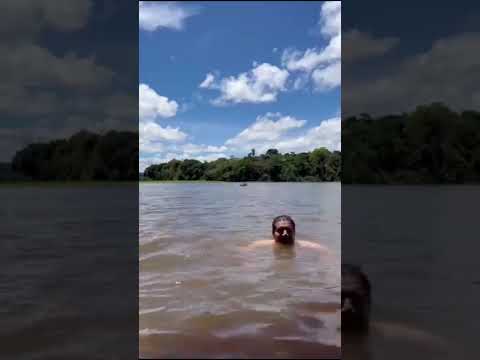 Amazônia de Pé!