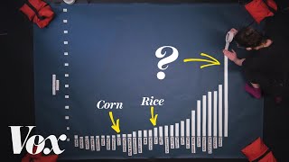 The food to avoid if you care about climate change