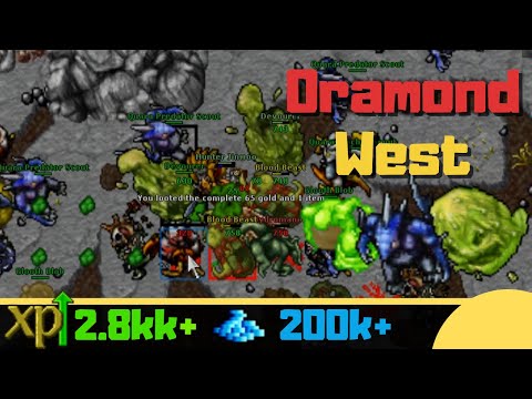 EK 200+ Oramond West [Where to hunt Solo knight]