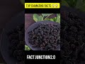 TOP 10 AMAZING FACTS Factshorts Facts Factsinhindi Shorts