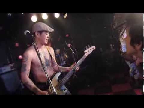 THE DISCOCKS - PUNK AND PROUD