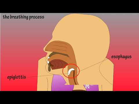 LEWENSWETENSKAP GRAAD 9: 21 April 2020 - periode 7 (2197)