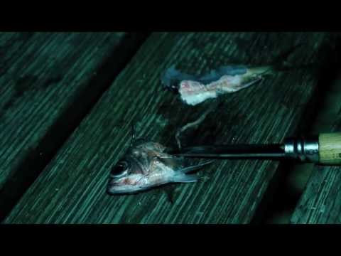 MAKADEM  - GOOD LIFE (Octobre 2013)