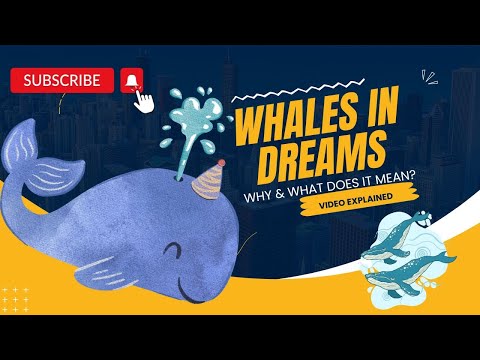 Dreaming of Whales: Explained