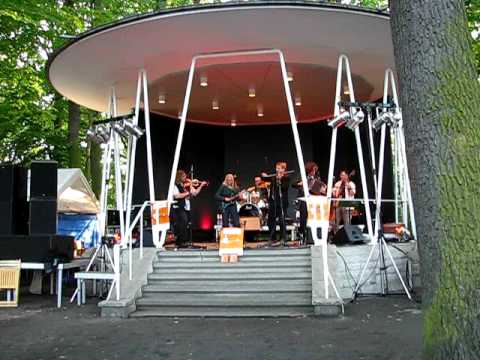 Wilde Töne 2009: Einstützende Heuschober