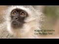 Robert Seyfarth: Can Monkeys Talk?