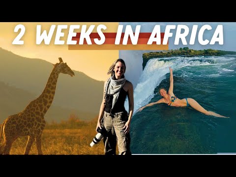 Non-Influencer Safari Vacation Tips