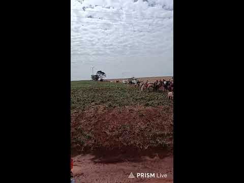🐎🇧🇷 ALÔ, AMANTES DAS CAVALGADAS!  Cavalgada da Independência em Mamborê Paraná  Um momento especi