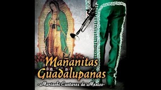 Mariachi Cantares De Mexico - Buenos Dias Paloma Blanca