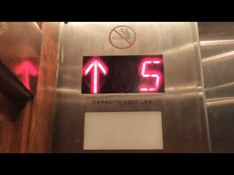 Oracle Traction Elevators at Floridian Palace Hotel- Tampa, FL, USA