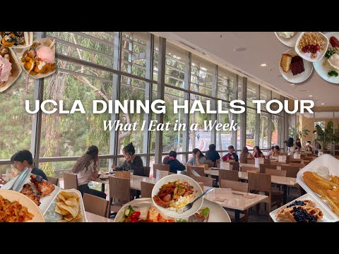 Ucla Dining Hours