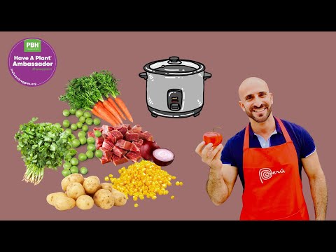 Instant Pot Recipe: Peruvian Beef Stew with Cilantro (Seco de Carne)