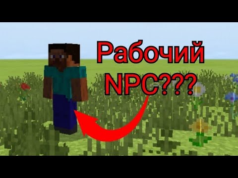 ✔Как сделать NPC-игрока в Майнкрафт ПЕ 1.16.0 без модов | Как призвать Стива в МКПЕ 1.16.20.54