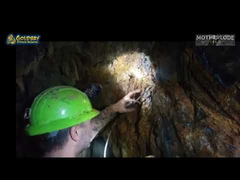 From a Tiny Nugget to a World-Class Gold Specimen | Colorado Quartz Mine Mini-Series Pt. 1